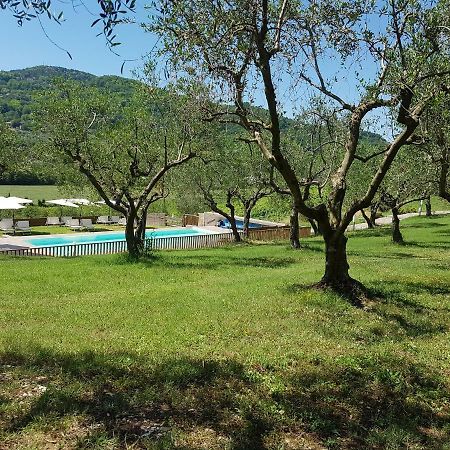 Villa Il Vecchio Gelso - Agriturismo Rimini Montefiore Conca Extérieur photo