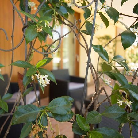 Villa Il Vecchio Gelso - Agriturismo Rimini Montefiore Conca Extérieur photo