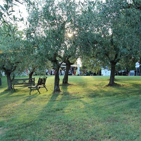 Villa Il Vecchio Gelso - Agriturismo Rimini Montefiore Conca Extérieur photo