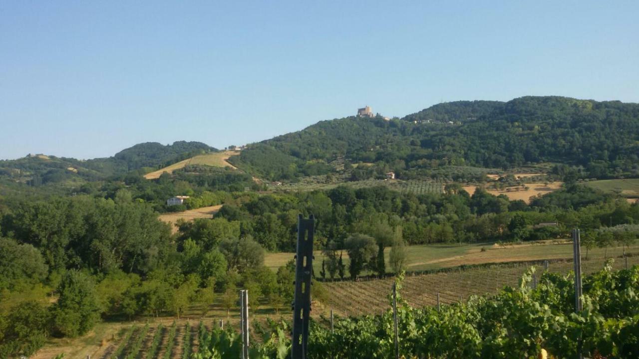 Villa Il Vecchio Gelso - Agriturismo Rimini Montefiore Conca Extérieur photo
