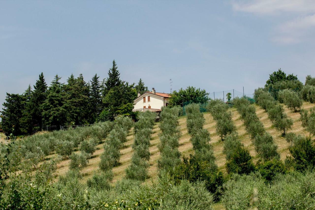 Villa Il Vecchio Gelso - Agriturismo Rimini Montefiore Conca Extérieur photo