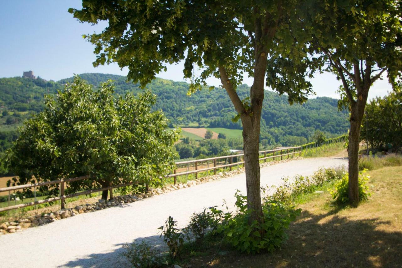 Villa Il Vecchio Gelso - Agriturismo Rimini Montefiore Conca Extérieur photo