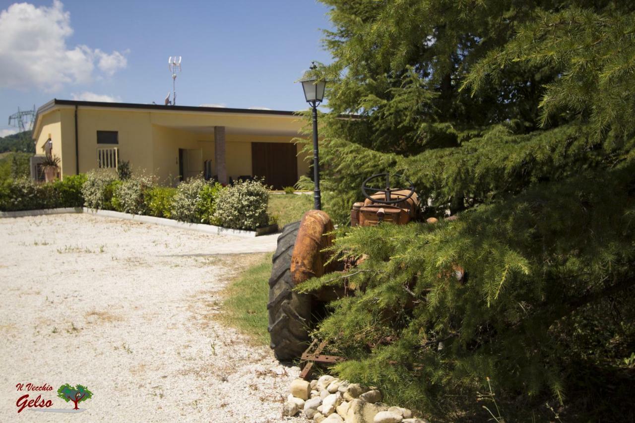 Villa Il Vecchio Gelso - Agriturismo Rimini Montefiore Conca Extérieur photo
