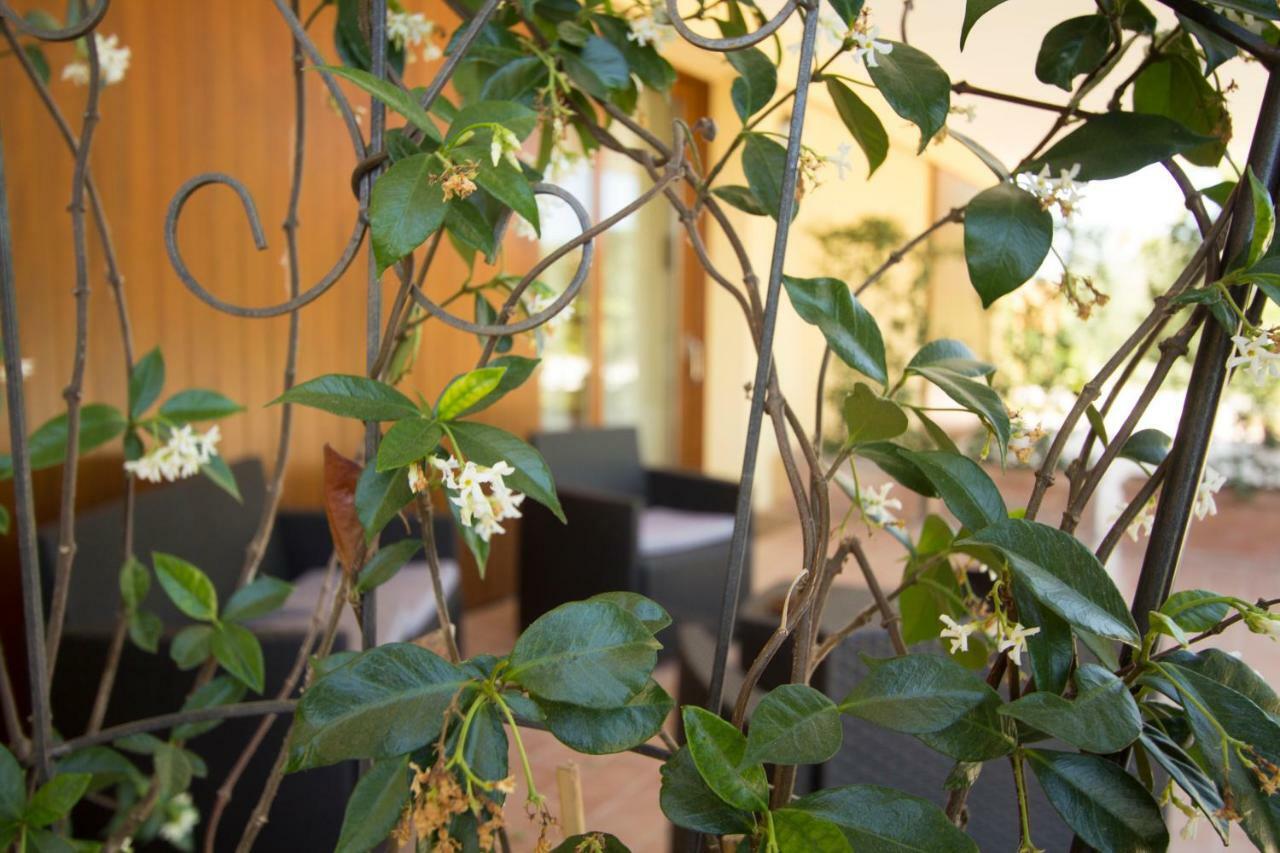 Villa Il Vecchio Gelso - Agriturismo Rimini Montefiore Conca Extérieur photo